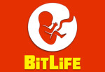 BitLife Life Simulator