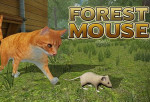 Forest Mouse